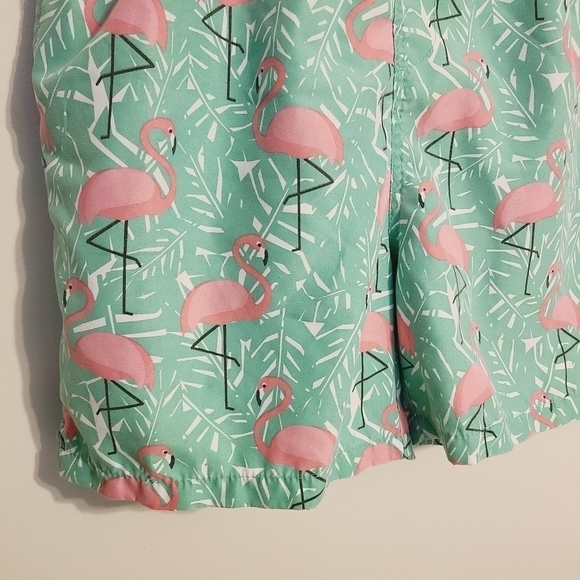 Ingear Swim | Boys' Pink and Green Flamingo Print Swimming Trunks (Size XXL) - Picture 6 of 14